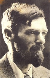 D. H. Lawrence